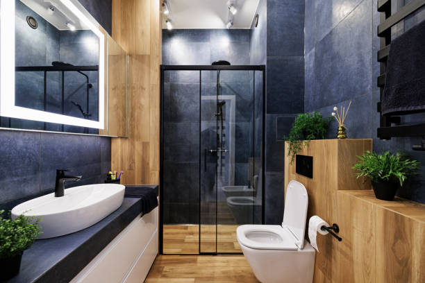 agencement de salle de bain réussi à Sainte-Foy-lès-Lyon